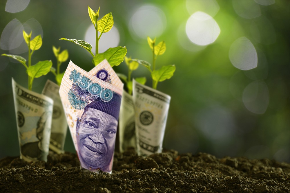 AVA GAM Fixed Income Naira Fund