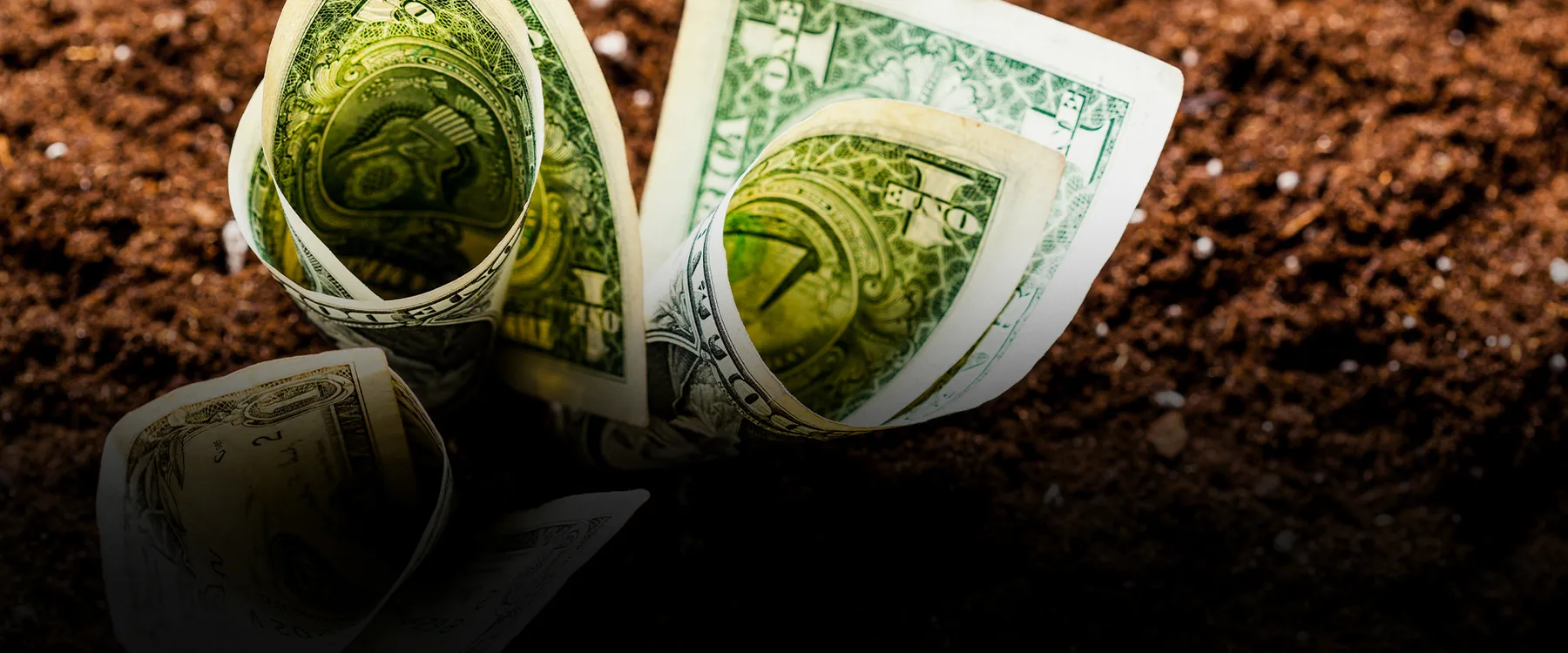 AVA GAM Dollar Fund