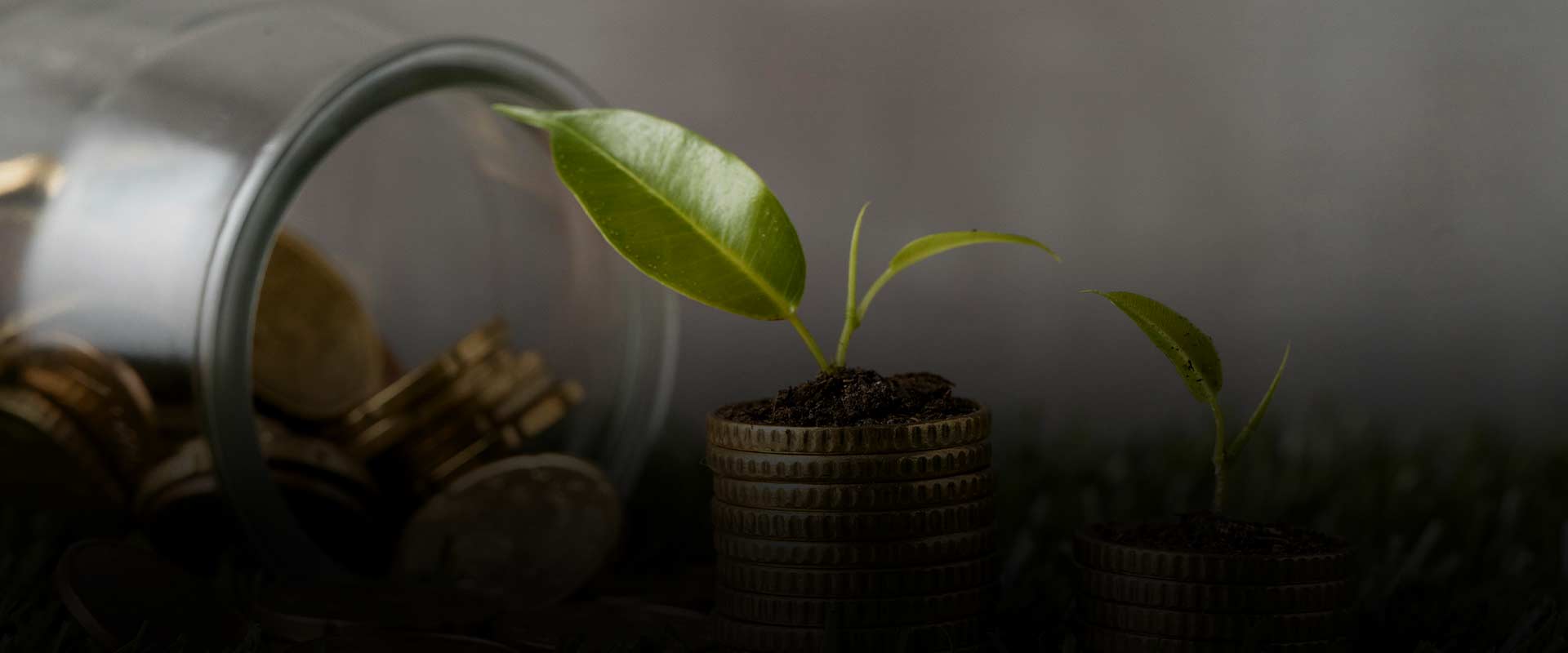AVA GAM Money Market Fund