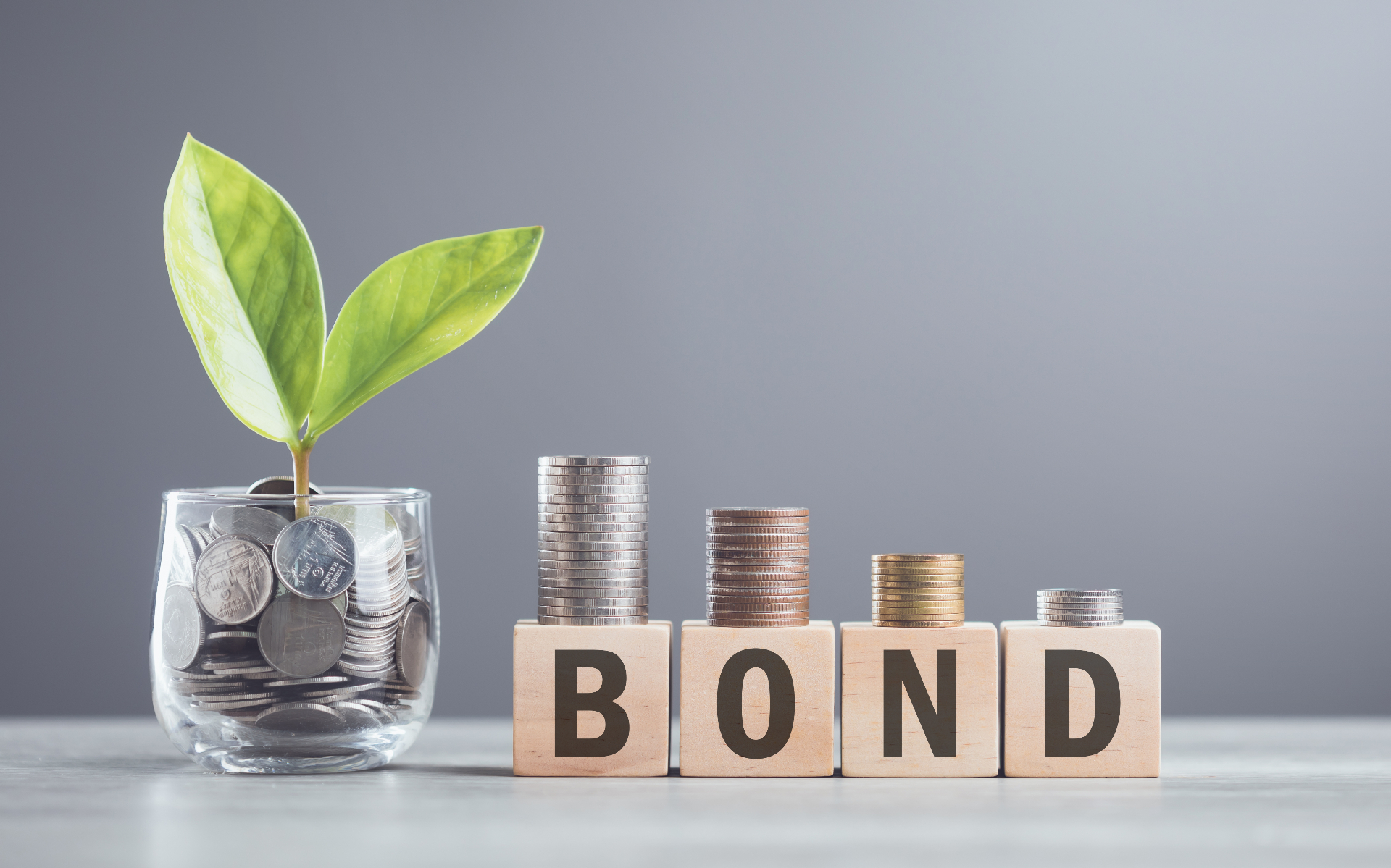 Federal Government's domestic borrowing programme triggers fixed-income sell-off